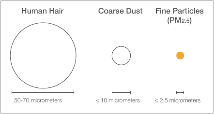 what are fine particles